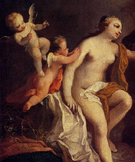 Jacopo Amigoni Venus and Adonis Norge oil painting art